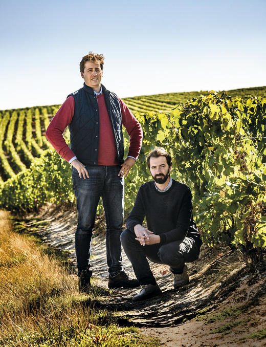 Bonnaire Terroirs Grand Cru Blanc de Blancs 宝奈儿香槟风土特级白中白 750ml/1.5L 商品图7