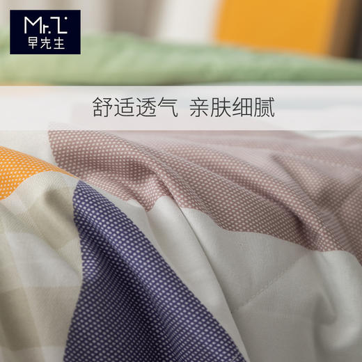 早先生 · 舒爽水洗棉夏被-牛油果 商品图3