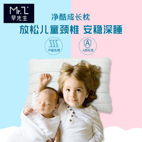早先生 · 净酷成长枕