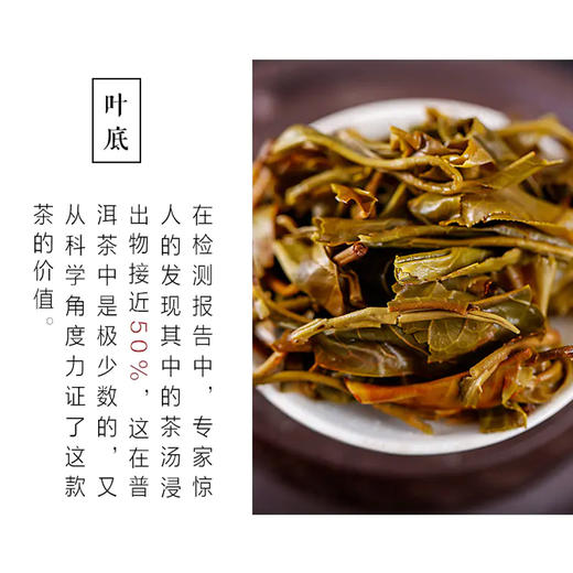 普洱生茶 | 紫金无量 2021年 无量之巅 200g 商品图3
