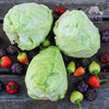 有机包菜 | 合作生产*Organic cabbage | Coproduction 商品缩略图1