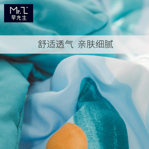 早先生 · 舒爽水洗棉夏被-叶语 商品图3