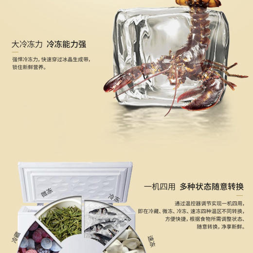 海尔（Haier）冷柜BC/BD-200GHEZW0 商品图3