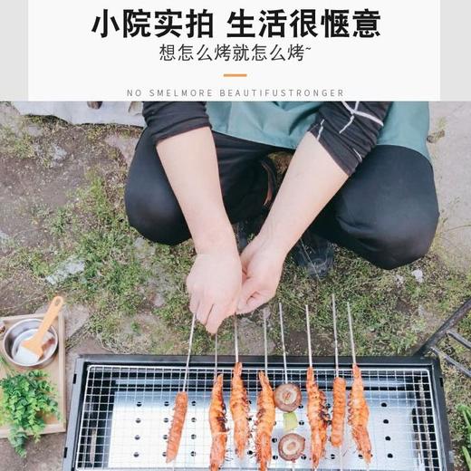 抽拉便携式烤炉（可供10人使用） 商品图2