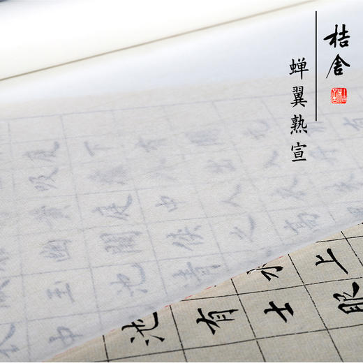 【桔舍】精品蝉翼熟宣古法传统纯手工四尺六尺工笔小楷白描专用熟宣纸云母超薄扎花蝉翼手工宣纸国画 商品图3