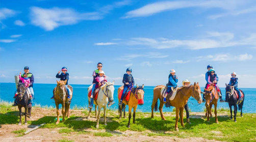 【中考营】“青海湖，茶卡，祁连山.....” 这个夏天，我们一起去青海！ 商品图3
