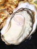 鲜活净化生蚝，1个300克，刺身生吃 商品缩略图0