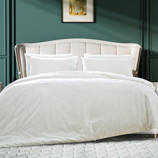 梦缘系列纯桑蚕丝被 AQZB 商品图3