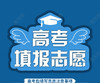 高考志愿填报专家一对一指导 商品缩略图0