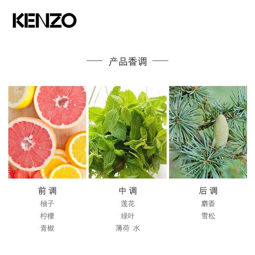 法国  高田贤三凯卓纯净之水风之恋男士淡香水EDT50ml 商品图2