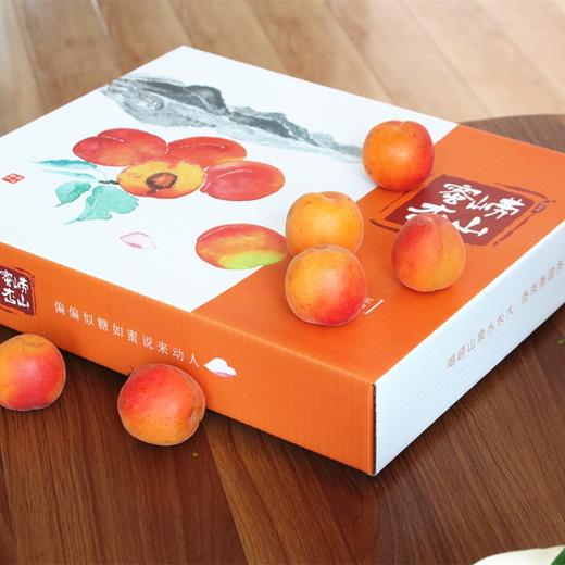 崂山蜜杏 商品图3