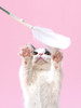 逗猫棒羽毛猫咪神器猫猫玩具 商品缩略图3