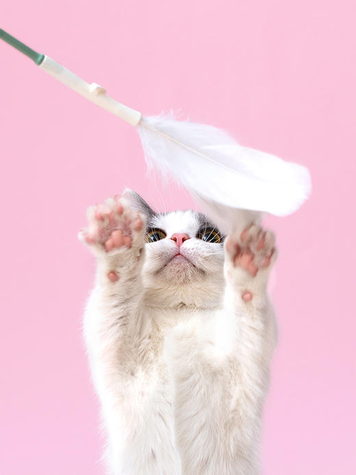 逗猫棒羽毛猫咪神器猫猫玩具 商品图3