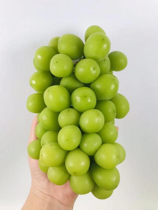 溏心风暴一级晴王4斤箱入口爽脆甜而不腻果肉紧致无籽散装泡沫箱发货