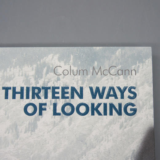 十三种观看方式 科伦麦凯恩作品系列讲述日常生活中改变命运的偶然瞬间 马爱农翻译版外国经典文艺小说3000856 商品图3