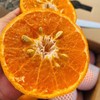【云南高山沃柑】约5斤，爆汁甜 商品缩略图1