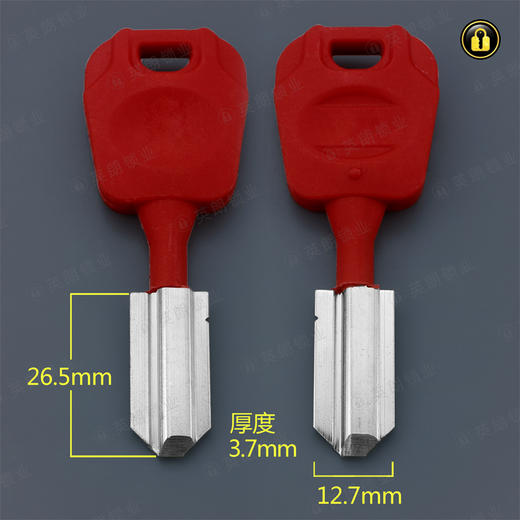 〖2141〗红胶反王叻 商品图0