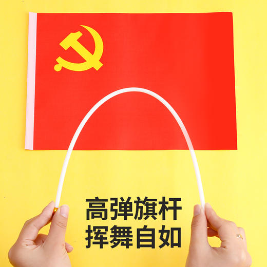 国产小党旗2Y20X30XDQ2Y 20X30 中国国旗党旗团旗五星红旗大红旗旗帜广告旗班旗公司旗 商品图2
