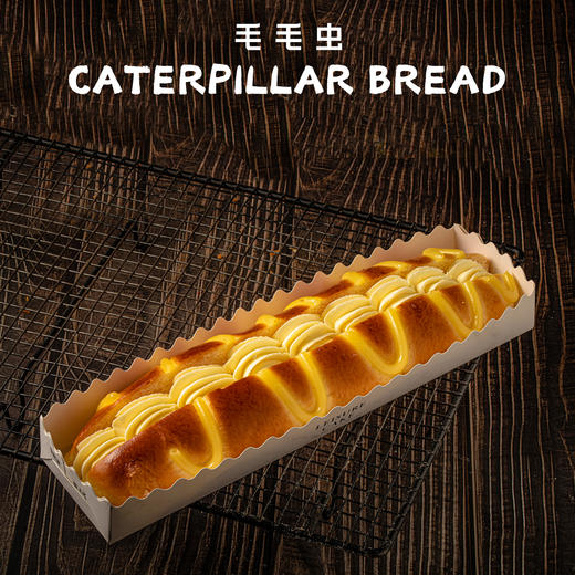 毛毛虫 商品图0