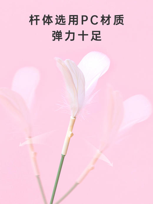 逗猫棒羽毛猫咪神器猫猫玩具 商品图2
