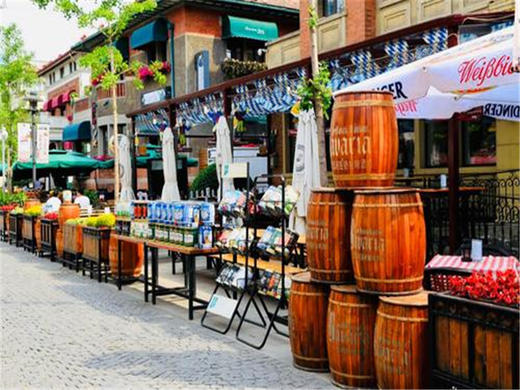 元旦2日【天津跨年】东疆港海边日出•迎接2026年曙光の西伯利亚海鸥-打卡天津网红点 商品图6