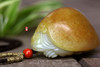 和田玉（白玉）籽料挂件-- 龙龟 69g 商品缩略图4