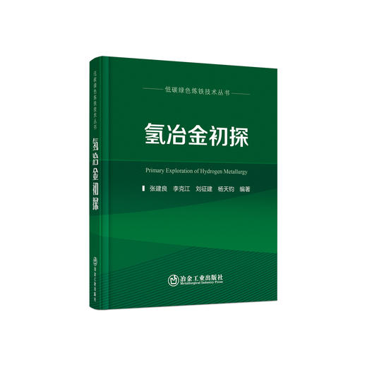 氢冶金初探/张建良,李克江,刘征建,杨天钧 商品图0