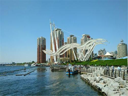 元旦2日【天津跨年】东疆港海边日出•迎接2026年曙光の西伯利亚海鸥-打卡天津网红点 商品图7