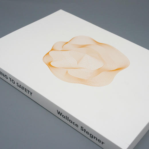 安宁之路 20世纪现代经典文库 华莱士斯特格纳自传性长篇小说 你当像鸟飞向你的山同类治愈系励志文学小说外国小说3000887 商品图5