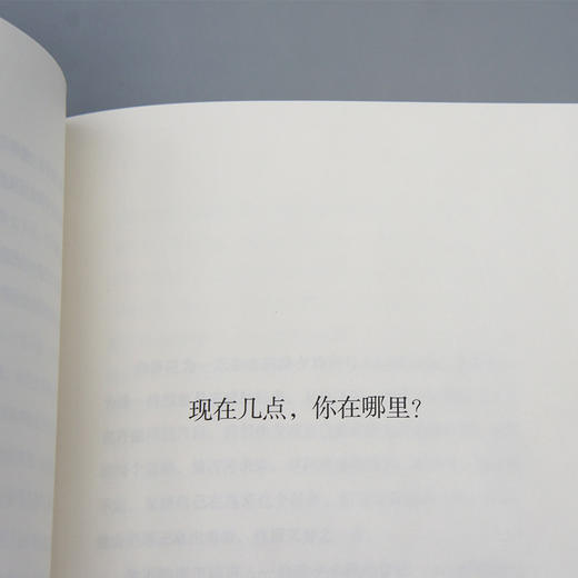 十三种观看方式 科伦麦凯恩作品系列讲述日常生活中改变命运的偶然瞬间 马爱农翻译版外国经典文艺小说3000856 商品图5