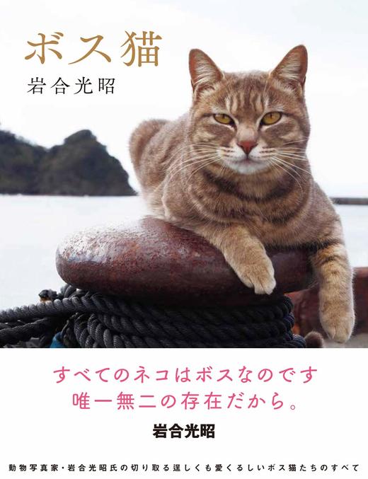 ボス猫，猫大王 摄影集 商品图0