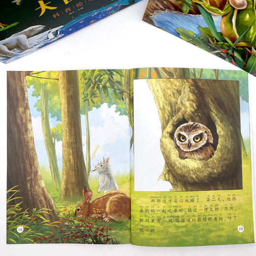 《奇趣大自然》全32册 有声读物 注音32个生动有趣的小故事  拒绝说教，让娃更愿意阅读 商品图6