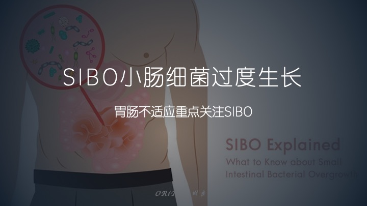 SIBO小肠菌过度生长