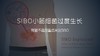SIBO小肠菌过度生长 商品缩略图0