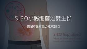 SIBO小肠菌过度生长