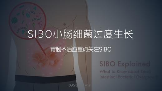 SIBO小肠菌过度生长 商品图0