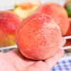 【陕西水蜜桃 4.5-5斤】| 当季鲜桃，脆甜多汁，香味浓郁，吃出不一样的味道 商品缩略图4