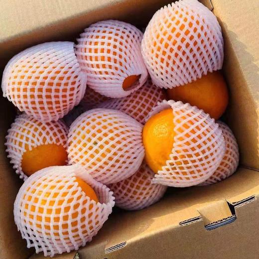 【云南高山沃柑】约5斤，爆汁甜 商品图4