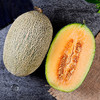 西州蜜哈密瓜 清甜口感  清爽可口    肉质清脆     让您的每一天都有清新的甜蜜 商品缩略图1