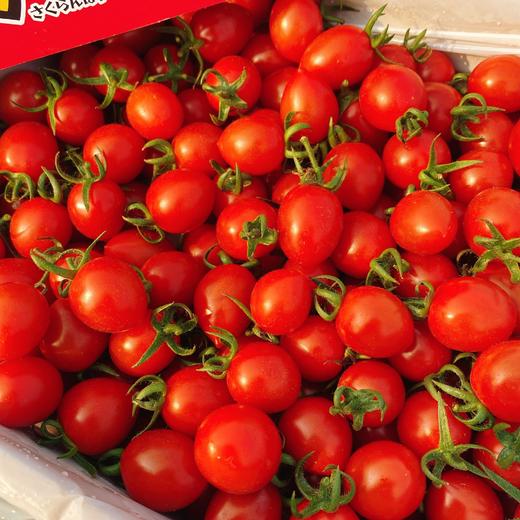 【釜山88爆汁小柿子】3斤/盒，甜口 商品图1