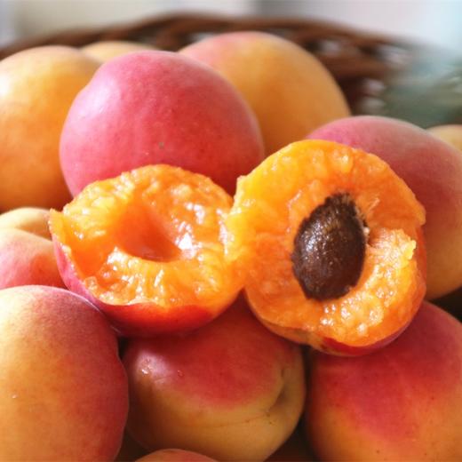 崂山蜜杏 商品图1