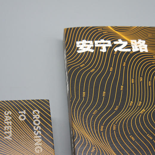 安宁之路 20世纪现代经典文库 华莱士斯特格纳自传性长篇小说 你当像鸟飞向你的山同类治愈系励志文学小说外国小说3000887 商品图3