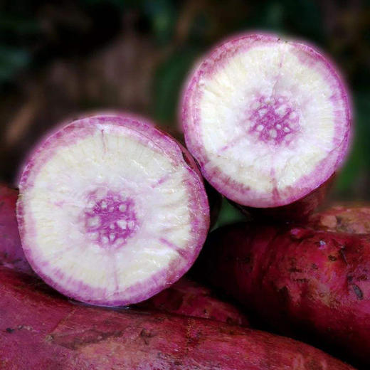 优选新品 一点红新鲜冰淇淋番薯 粉糯香甜 新鲜现挖 5斤包邮 商品图5