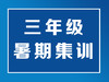 三年级暑期集训 商品缩略图0
