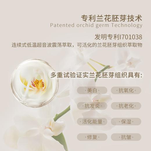 nywow o兰花精粹紧致光嫩雪兰乳70ml [D类] 商品图7