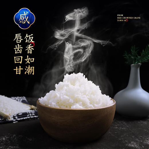金鹤2020年新米东北长粒香大米5kg官方旗舰店黑龙江自产粳米10斤 商品图2