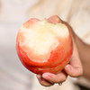【陕西水蜜桃 4.5-5斤】| 当季鲜桃，脆甜多汁，香味浓郁，吃出不一样的味道 商品缩略图0