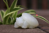 和田玉（羊脂白玉）籽料挂件-- 龙龟 44.5g 商品缩略图0
