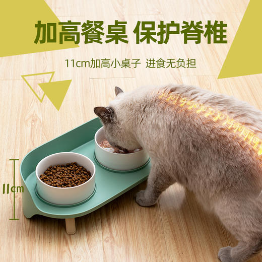 猫咪碗陶瓷保护颈椎双碗防打翻狗狗宠物碗猫食盆幼猫用品 商品图2