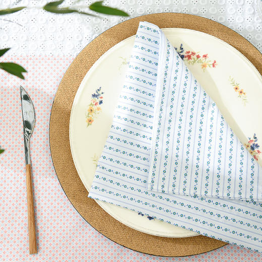 经典图案餐巾餐桌垫法式餐垫 商品图2